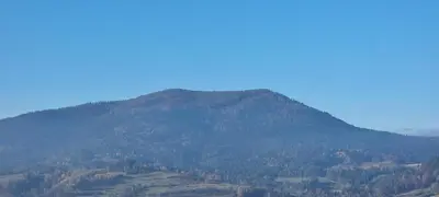 a mountain covered in trees in the distance at Apartament Miód Malina in Olszówka