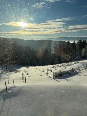 a snow covered field with the sun in the distance at Apartament Zielone Wzgórze Pod Turbaczem in Nowy Targ