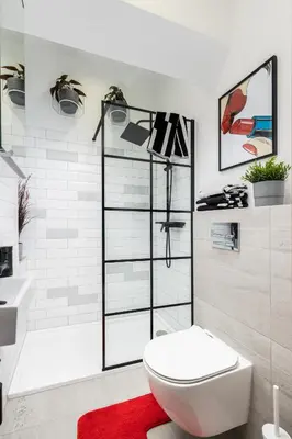 a bathroom with a toilet and a red rug at Apartment near Main Station - Bosacka 8 street in Kraków
