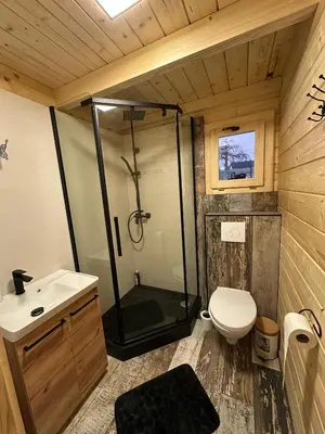 a bathroom with a shower and a toilet and a sink at Piekielne zacisze in Klecza Dolna