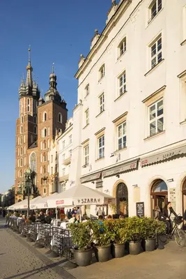 a row of plants in pots in front of a building at Apartments Rynek Glowny in Kraków