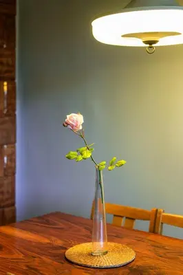 a rose in a vase on a table at Charming and stylish apartment in Kraków