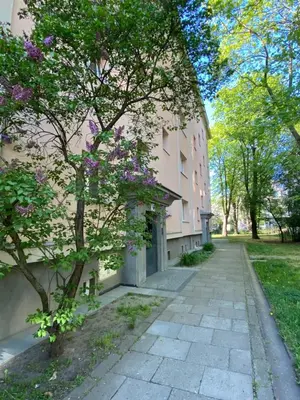 a building with a tree next to a sidewalk at Krakow Center - Chill Spot by the River in Kraków