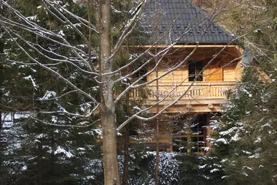 a log cabin in the snow with a tree at Forest House- dom nad górskim potokiem in Juszczyn