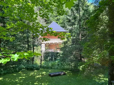 a log in the grass in front of a house at Forest House- dom nad górskim potokiem in Juszczyn