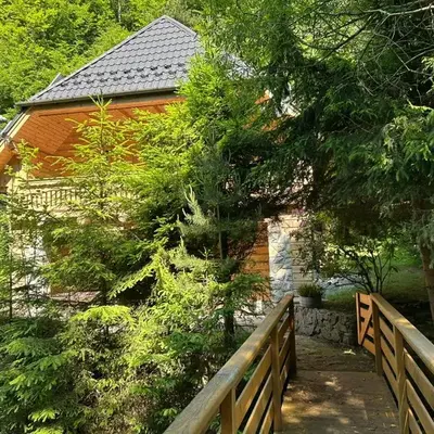 Forest House- dom nad górskim potokiem