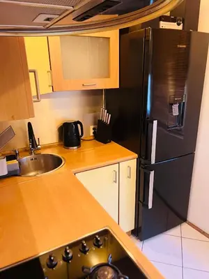a kitchen with a black refrigerator and a sink at Biały Lotos in Kraków
