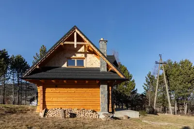 a small log cabin with a black roof at zDrzewaDom in Skrzydlna