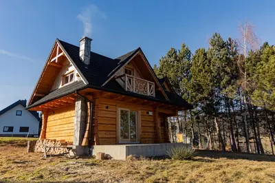 a log cabin with a black roof at zDrzewaDom in Skrzydlna