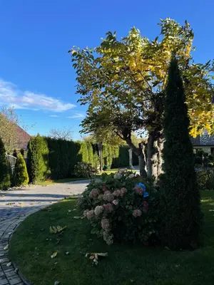a garden with a tree and flowers in the grass at Noclegi Weronika in Czajowice