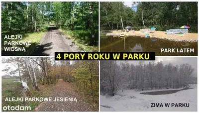 a collage of four pictures of a flooded road at Zaskawie Apart in Wadowice