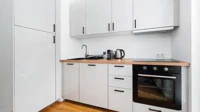 a kitchen with white cabinets and a black oven at Rakowicka Steam Park, Sun & Snow in Kraków