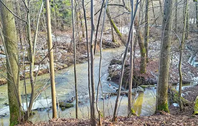 a stream of water in a forest with trees at 3 Bedroom Awesome Home In Barwald Dolny in Barwałd Dolny