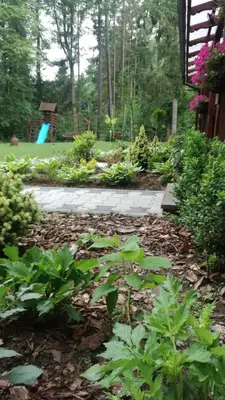 a garden with a playground in the background at Pokoje Gościnne - Za Borem in Zubrzyca Górna