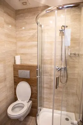 a bathroom with a toilet and a shower at Pokoje Gościnne - Za Borem in Zubrzyca Górna