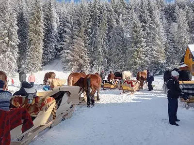 a group of people and horses in the snow at Apartamenty Baj na Polnej - bezpłatny parking, widok na góry i zewnętrzna balia! in PyzÃ³wka