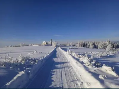 a snow covered road with tracks in a field at Domki z Widokiem Klikuszowa jacuzzi in Klikuszowa