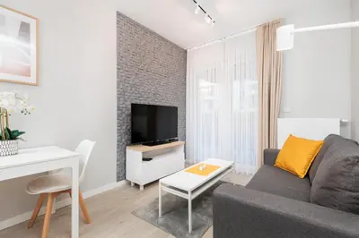 a living room with a gray couch and a tv at City of the Kings-Milford Sound in Kraków