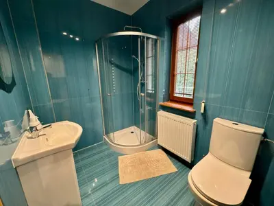 a bathroom with a toilet and a shower and a sink at Zinc FAM in Oświęcim