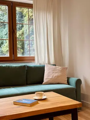 a green couch in a living room with a coffee table at Zinc FAM in Oświęcim