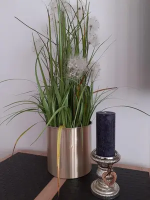 a potted plant in a metal pot on a table at Old Town Apartments - Bosacka B18 in Kraków
