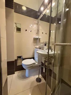 a bathroom with a toilet and a sink and a shower at Vintage Krowoderska Apartment in Kraków