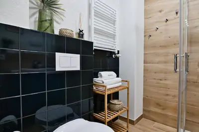 a bathroom with a toilet and a black tiled wall at Green Vibe 11 Zator blisko Energylandii by Housine in Zator