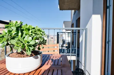 a potted plant sitting on a wooden table on a balcony at Green Vibe 11 Zator blisko Energylandii by Housine in Zator