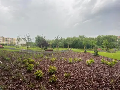 a garden with plants in the middle of a park at Siesta Forest Apartment Relaxing Park in Kraków