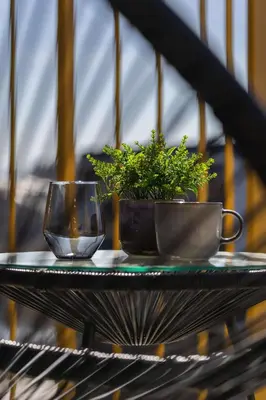a table with a plant and a glass at Jasny Apartament z Umeblowanym Balkonem w Krakowie Blisko Stawu by Noclegi Renters in Kraków