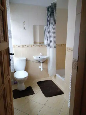 a bathroom with a toilet and a sink at Agroturystyka Anna in Ochotnica Górna