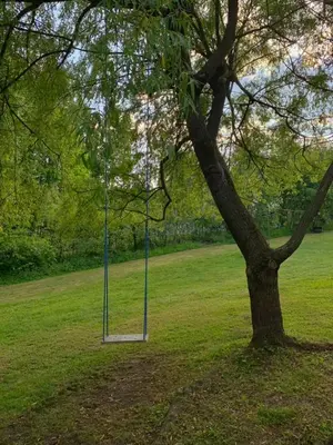 a tree with a swing in the middle of a field at Pszczela Oaza in Bulowice