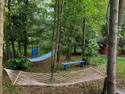 two hammocks and a blue bench in a park at Pszczela Oaza in Bulowice