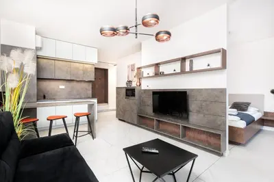 a living room with a couch and a fireplace at City of the Kings-Copper Nest in Kraków
