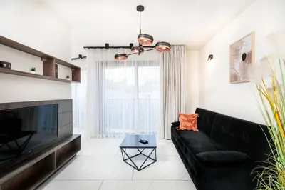 a living room with a black couch and a fireplace at City of the Kings-Copper Nest in Kraków