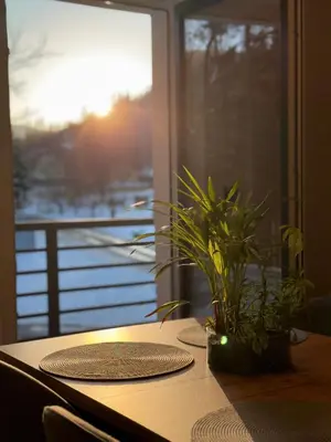 a table with two plates and a plant on it at Agroturystyka Pod Jałowcem in Stryszawa