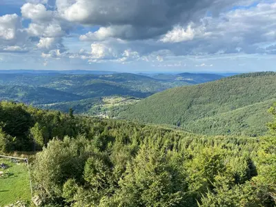 a view of a valley with trees and mountains at Agroturystyka Pod Jałowcem in Stryszawa