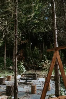 a swing set in the middle of a forest at Osada Zawadka in Zawadka