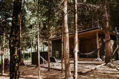 a log cabin in the middle of a forest at Osada Zawadka in Zawadka