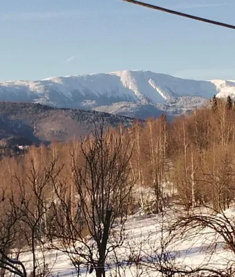 a snow covered hill with trees and mountains in the background at Polanki u Anki in Zawoja