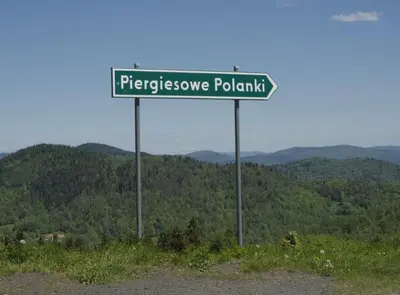 a green street sign on the side of a road at Polanki u Anki in Zawoja