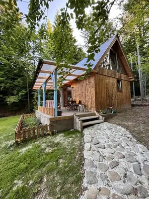 a log cabin in the woods with a tree at Domki pod Halą Krupową - Chata na szlaku in Sidzina
