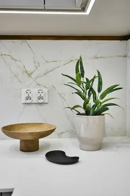 a plant sitting on top of a counter with a table at Apartament Krasińskiego- w centrum Krakowa, doskonała lokalizacja in Kraków