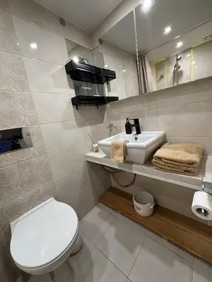 a bathroom with a white toilet and a sink at Parrot Apartment Main Station Cracow in Kraków
