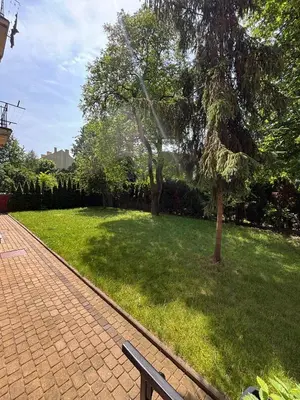 a park with a bench and a tree in the grass at Parrot Apartment Main Station Cracow in Kraków