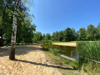 a dirt road next to a river with a tree at Apartament Nad Stawem in Wadowice