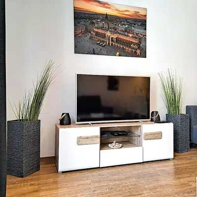 a television in a living room with two potted plants at Luxury Modern Apartment in Kraków