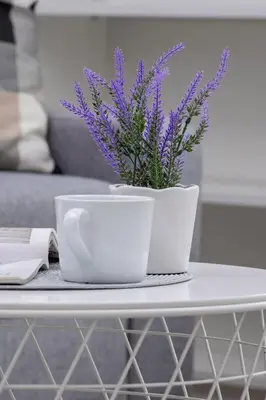 two white cups and a plant on a table at Modern Apartment with Air Conditioning and Parking in Cracow by Noclegi Renters in Kraków