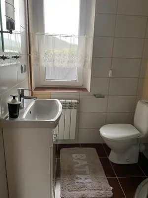 a bathroom with a sink and a toilet and a window at Wolna chata in Zubrzyca Górna
