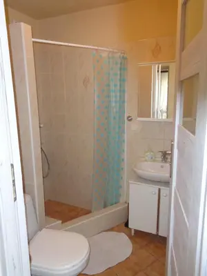 a bathroom with a shower and a toilet and a sink at Uroczy Domek Z Ogrodem I Tarasem in Myślenice